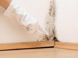 Best Mold Remediation for Healthcare Facilities  in Two Rivers, WI